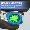 Load image into Gallery viewer, Closeup of a dog&#39;s mouth chewing Chewbrush, includes the text &quot;Hidden bristles brush your dog&#39;s teeth while they play&quot;