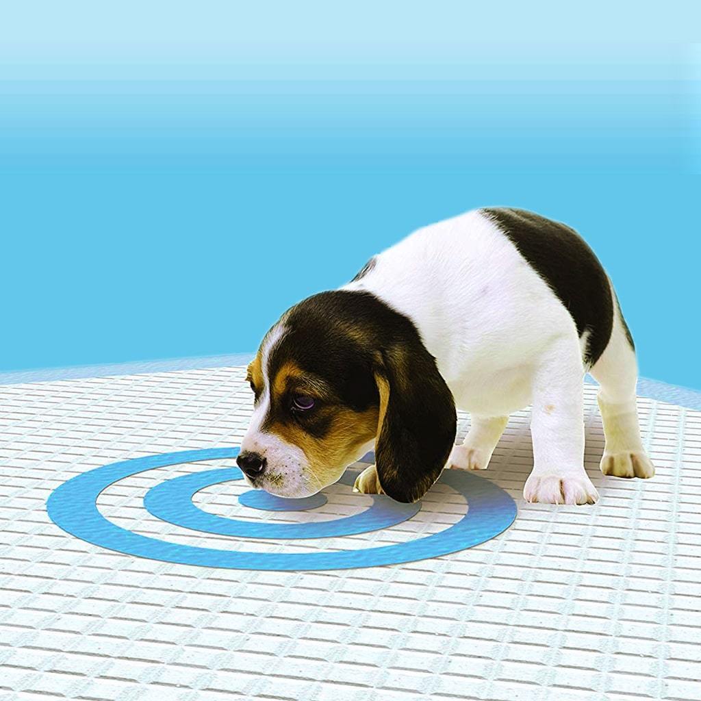 Bullseye Pee Pads