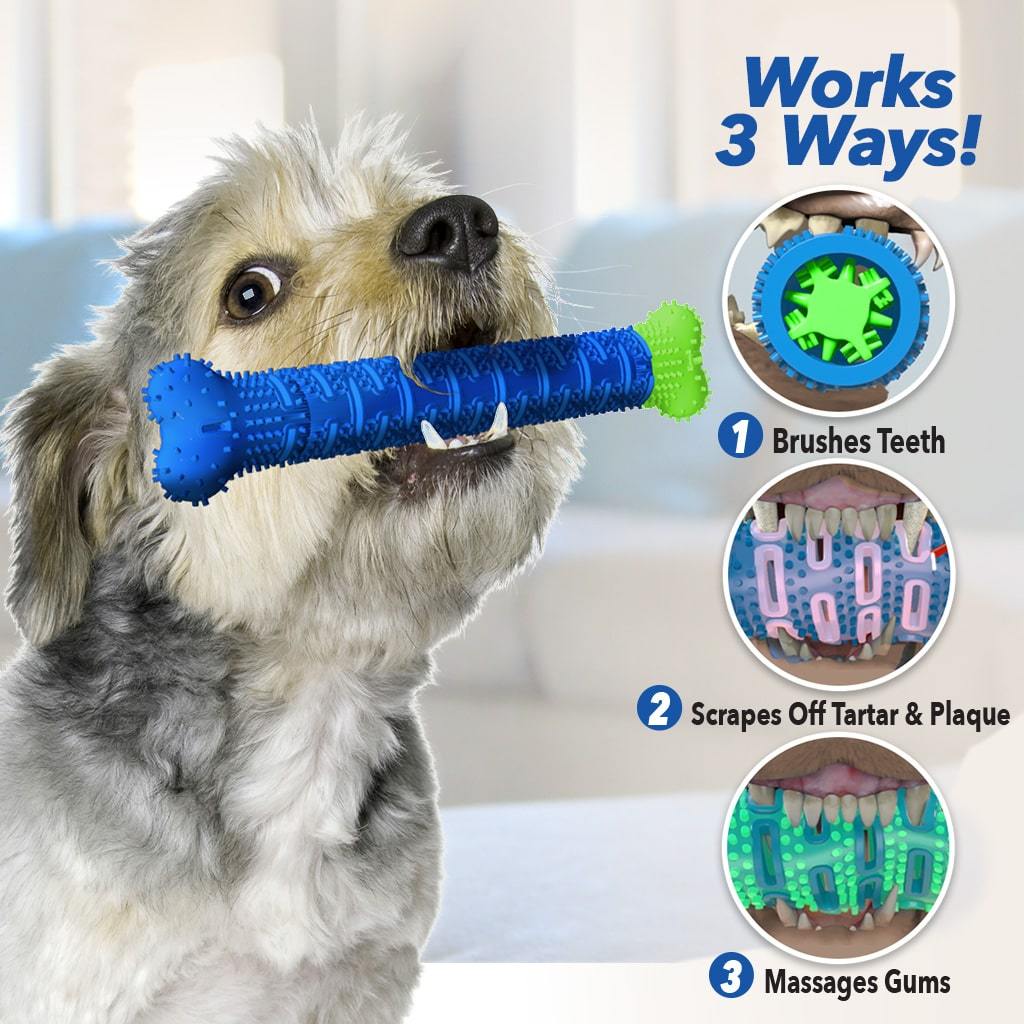 Chewbrush