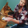 Load image into Gallery viewer, Deluxe Flea Doctor