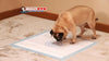 Load image into Gallery viewer, Bullseye Pee Pads image from BulbHead