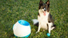 Load image into Gallery viewer, Ifetch Too Ball Launcher Dog Toy image from BulbHead