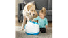 Load image into Gallery viewer, Ifetch Too Ball Launcher Dog Toy image from BulbHead