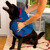 Load image into Gallery viewer, Soggy Doggy Super Shammy image from BulbHead